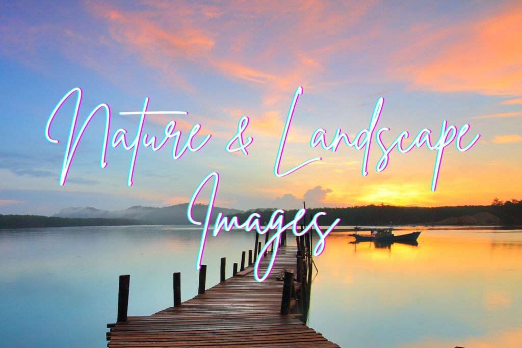 nature images