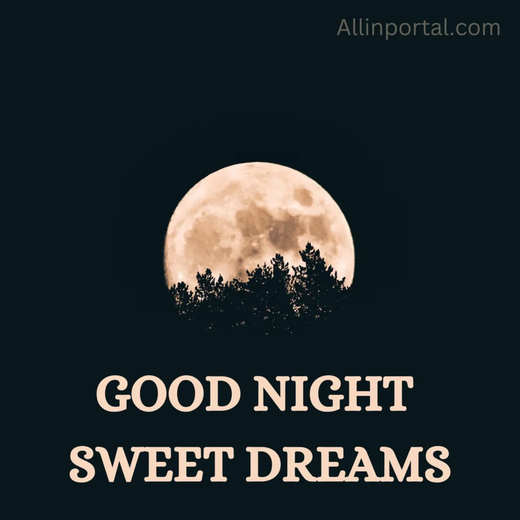 Good Night Sweet Dream: Sleep tight and let your dreams be sweet