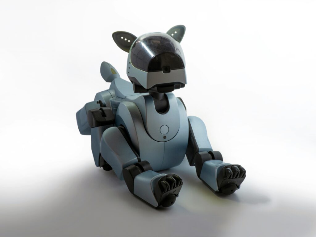 Robot R343