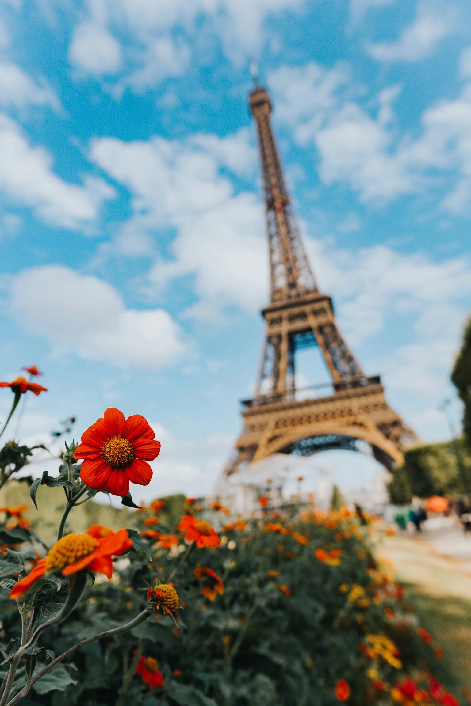 Cni axa France