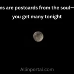 Quotes