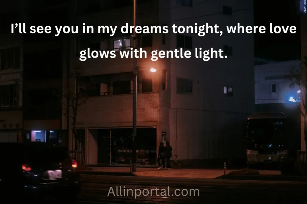 Aesthetic good night photo with deep quote.