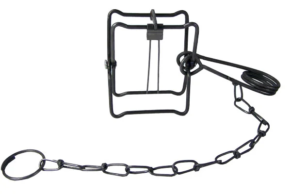 Top 10 Positive Uses of Conibear Traps for Effective Wildlife Control 2 Top 10 Positive Uses of Conibear Traps for Effective Wildlife Control
