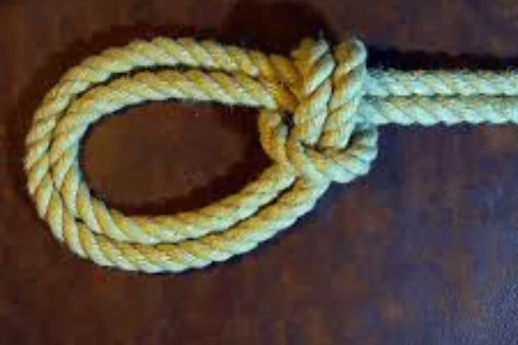 How to Tie a Noose: 3 Simple Steps for Perfect Knots 2 How to Tie a Noose ?