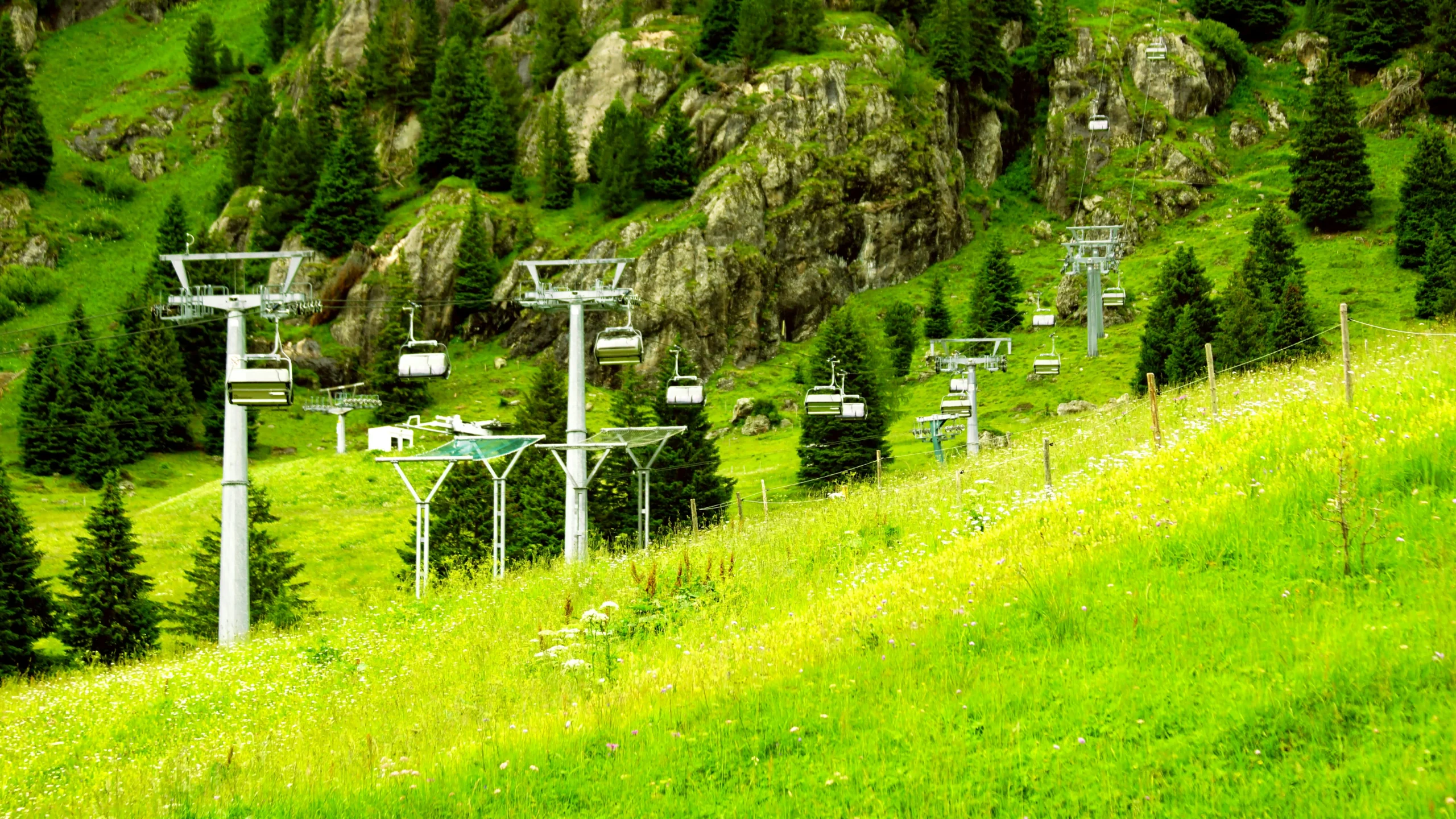 Magic Valley Death Notices