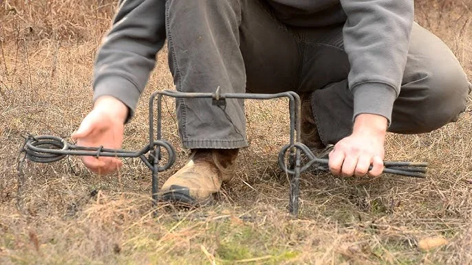 Top 10 Positive Uses of Conibear Traps for Effective Wildlife Control 1 Top 10 Positive Uses of Conibear Traps for Effective Wildlife Control