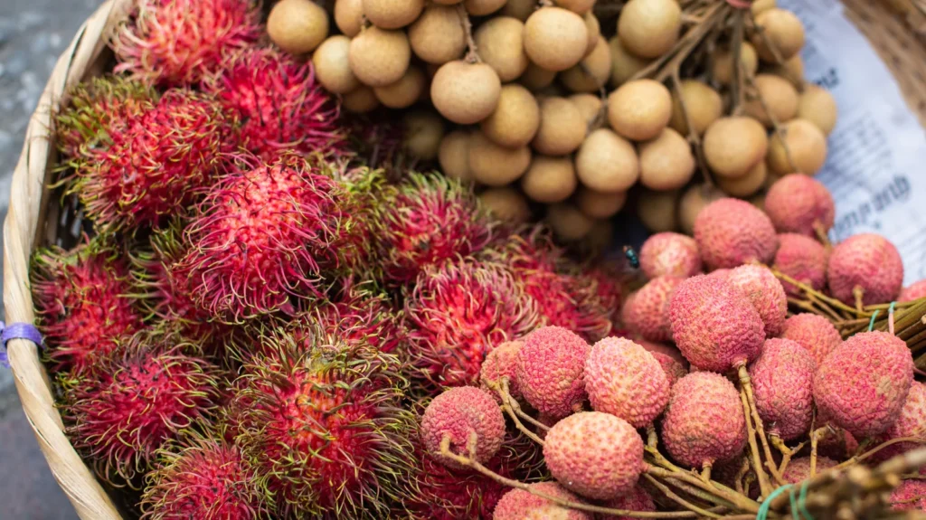 15 Delicious Fruits Similar to Litchi: A Juicy Guide for Exotic Fruit Lovers in 2025 3 15 Delicious Fruits Similar to Litchi: A Juicy Guide for Exotic Fruit