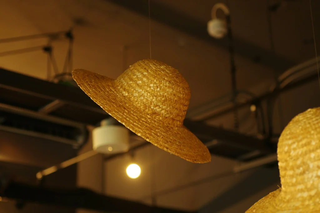10 Reasons the Vixen Hat Is the Must-Have Style Accessory of the Year-2025 2 10 Reasons the Vixen Hat Is the Must-Have Style Accessory of the Year